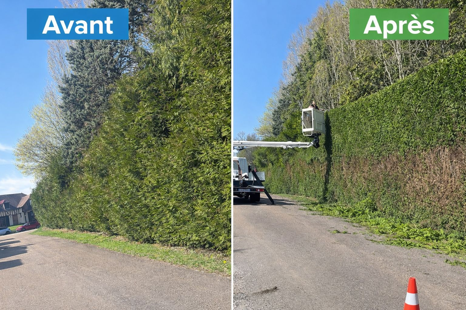 Taille de haies avant et après intervention — Jardi'Aube