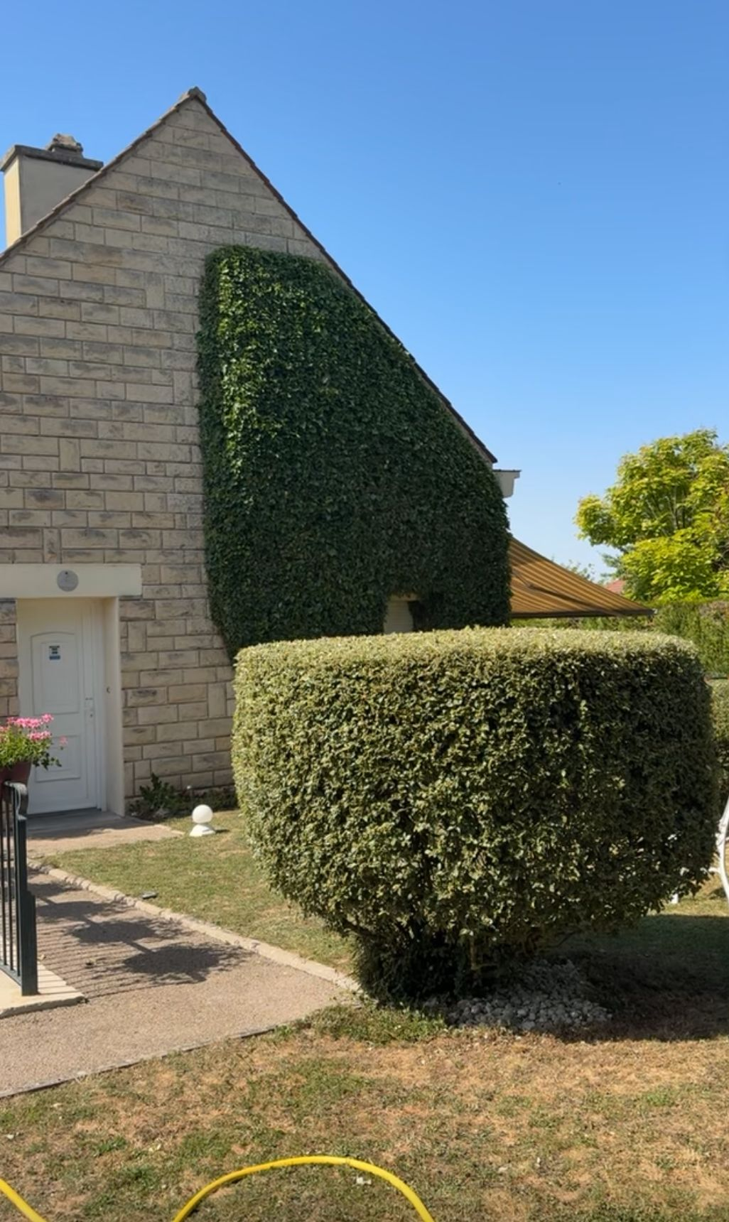 Haies taillées devant maison